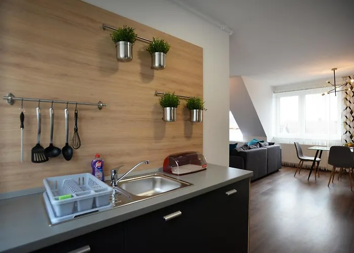 One Luxury Apartment *